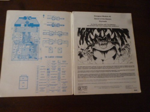 Secret of the Slavers Stockade (Dungeon Module A2)