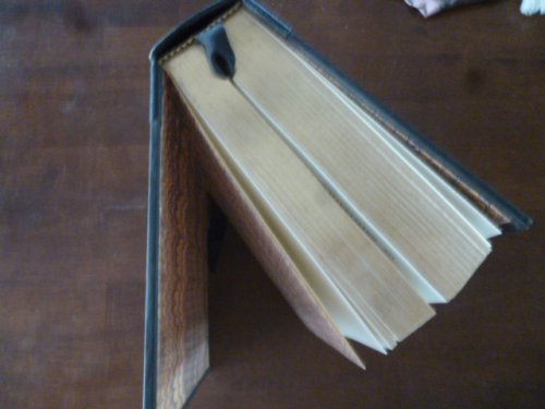 The Lindbergh Kidnapping Case (Notable Trials Library)