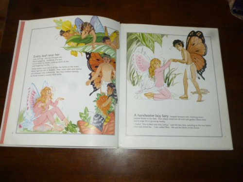 The Stowaway Fairy: A Hawaii Volcano Adventure