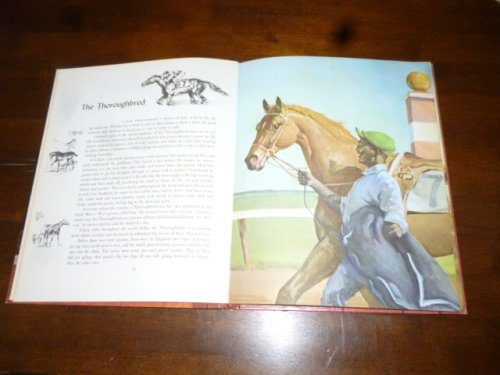 Album of Horses