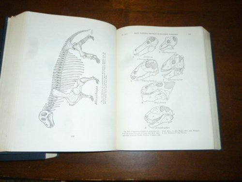 Evolution Emerging: A Survey of Changing Patterns from Primeval Life to Man (2 Vols)