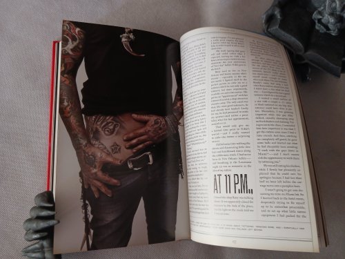 Image for The Tattoo Chronicles The Tattoo Chronicles