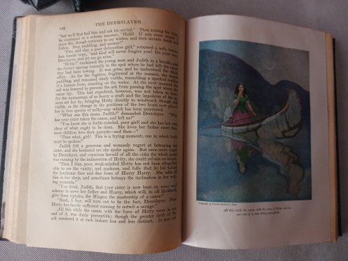 Image for The Deerslayer (Scribner's Illustrated Classics) The Deerslayer (Scribner's Illustrated Classics)