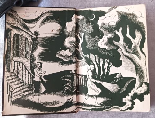 Image for The Haunted Lagoon (The Dana Girls Mystery Stories) The Haunted Lagoon (The Dana Girls Mystery Stories)