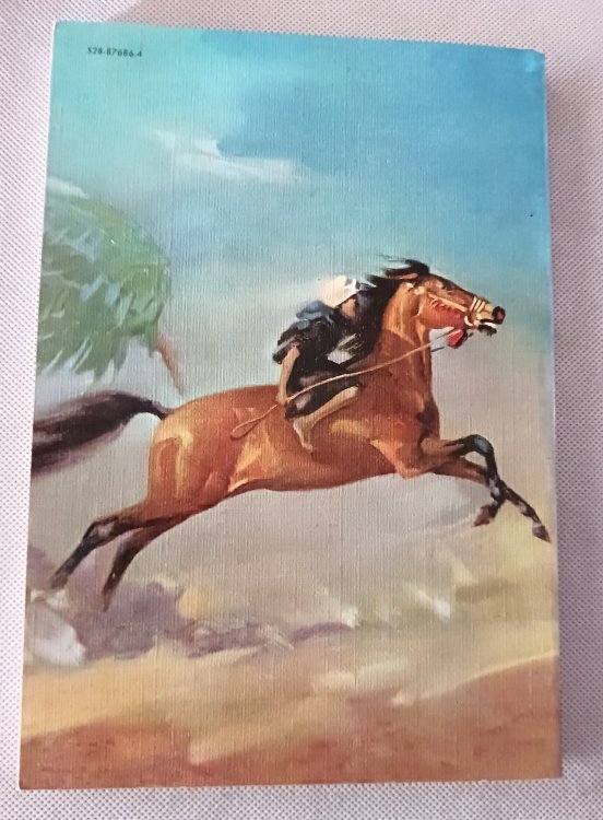 Image for King of the Wind: The Story of the Godolphin Arabian King of the Wind: The Story of the Godolphin Arabian