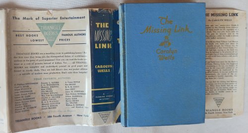 The Missing Link (A Fleming Stone Detective Story)