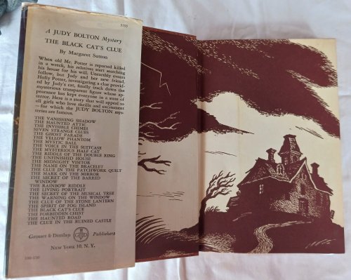 The Clue in the Ruined Castle (A Judy Bolton Mystery)