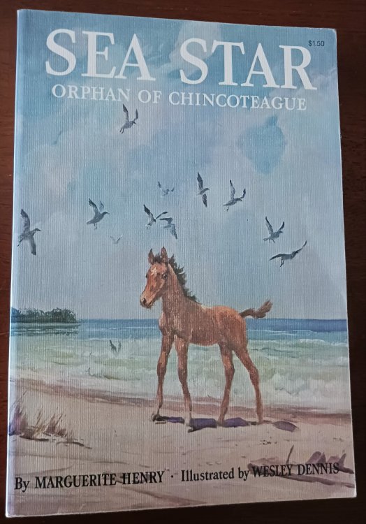 Image for Sea Star: Orphan of Chincoteague Sea Star: Orphan of Chincoteague