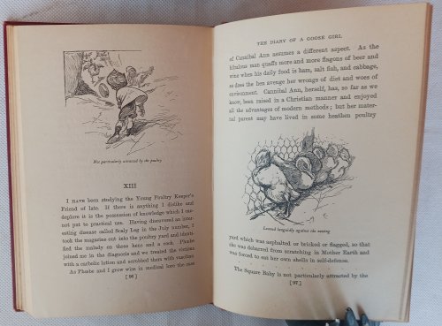Image for The Diary of a Goose Girl The Diary of a Goose Girl