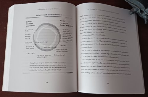 Image for Whole Body Meditations: Igniting Your Natural Instinct to Heal Whole Body Meditations: Igniting Your Natural Instinct to Heal