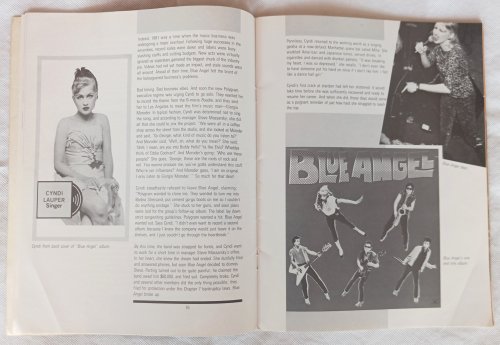 Image for The Cyndi Lauper Scrapbook The Cyndi Lauper Scrapbook