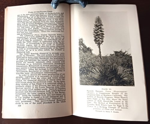 Image for Nature and Science on the Pacific Coast A Guide-Book for Scientific Travelers in West Nature and Science on the Pacific Coast A Guide-Book for Scientific Travelers in West