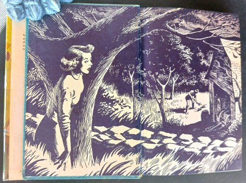 Image for The Bungalow Mystery (Nancy Drew Mystery Stories) The Bungalow Mystery (Nancy Drew Mystery Stories)