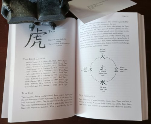 Image for Taoist Astrology: A Handbook of the Authentic Chinese Tradition Taoist Astrology: A Handbook of the Authentic Chinese Tradition