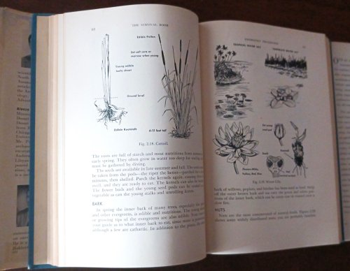 Image for The Survival Book The Survival Book