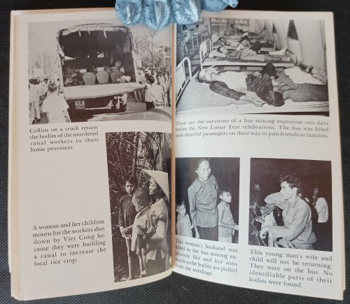 Image for Terror in Viet Nam Terror in Viet Nam