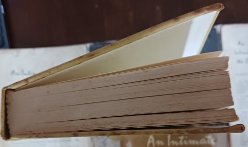 Image for An Intimate Journal of the Dreyfus Case An Intimate Journal of the Dreyfus Case