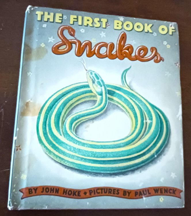 The First Book of Snakes (The First Books series)