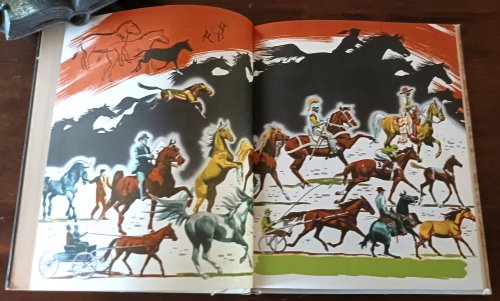 The First Book of Horses (The First Books series)