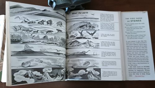 The First Book of Stones (The First Books series)