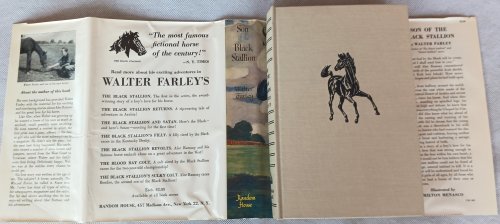 Image for Son of the Black Stallion Son of the Black Stallion