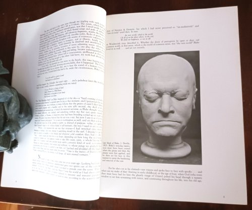Image for William Blake: The Seer and His Visions William Blake: The Seer and His Visions