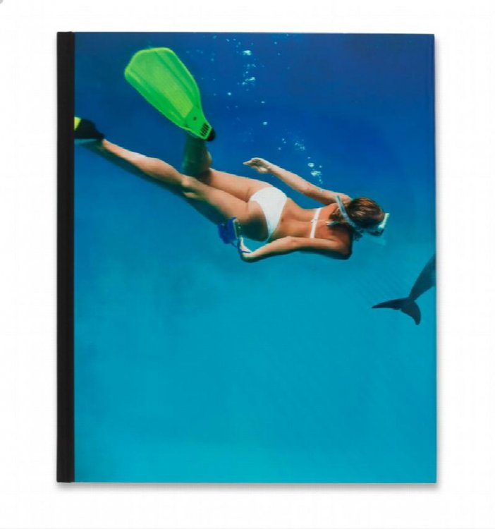 Image for Damien Hirst Fact Paintings and Fact Sculptures Damien Hirst Fact Paintings and Fact Sculptures