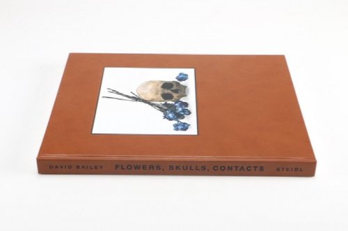 Image for David Bailey:: Flowers, Skulls, Contacts David Bailey:: Flowers, Skulls, Contacts