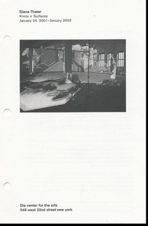 Diana Thater: Knots + Surfaces, 2001 (Gallery Brochure)