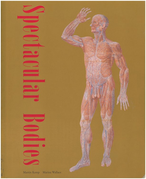 Image for Spectacular Bodies: The Art and Science of the Human Body from Leonardo to Now Spectacular Bodies: The Art and Science of the Human Body from Leonardo to Now