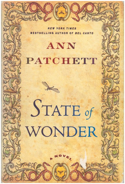 State Of Wonder