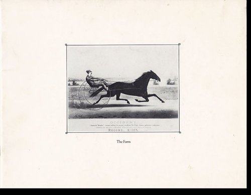 Image for The Farm (Fourth in a Series published by University National Bank & Trust Company) The Farm (Fourth in a Series published by University National Bank & Trust Company)
