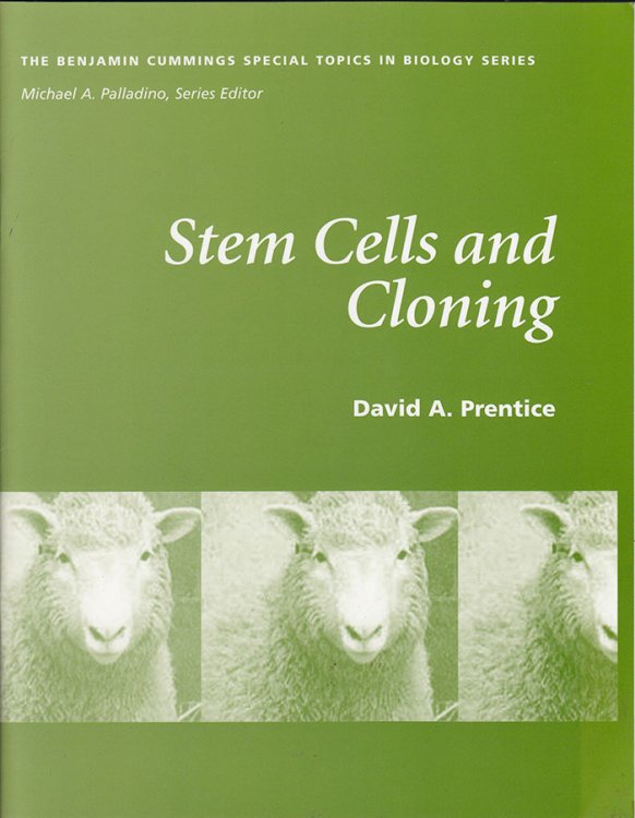 Image for Stem Cells and Cloning (Benjamin Cummings Special Topics in Biology Series) Stem Cells and Cloning (Benjamin Cummings Special Topics in Biology Series)