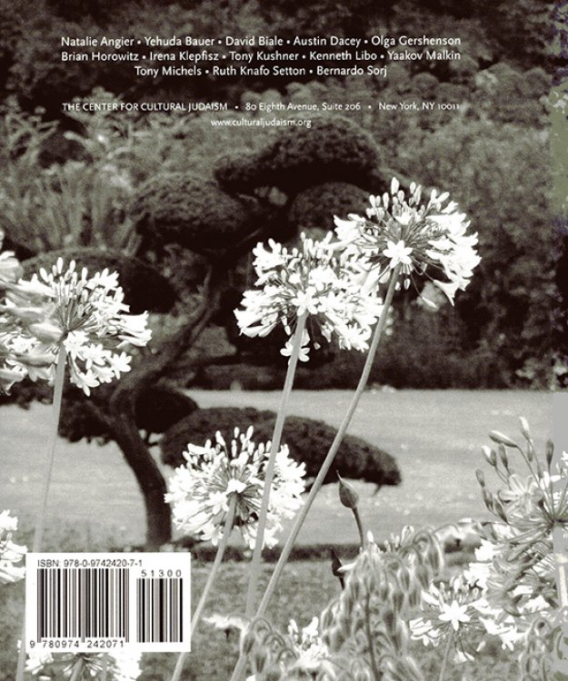 Image for Contemplate: The International Journal of Cultural Jewish Thought (Issue 5) Contemplate: The International Journal of Cultural Jewish Thought (Issue 5)