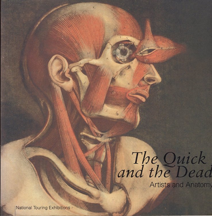 Image for Quick and the Dead Artists and Anatomy Quick and the Dead Artists and Anatomy