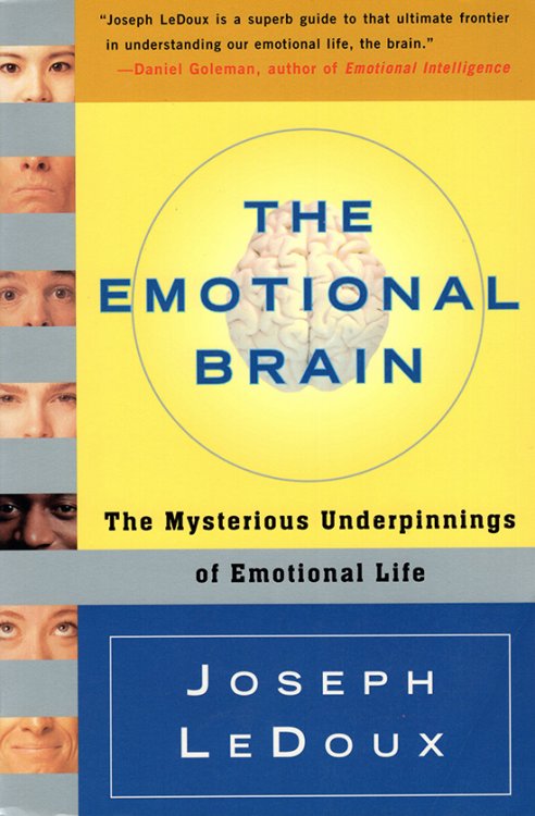 Image for The Emotional Brain: The Mysterious Underpinnings of Emotional Life The Emotional Brain: The Mysterious Underpinnings of Emotional Life