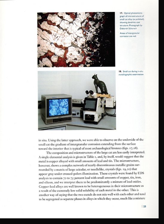 Image for Appearance and Reality: Recent Studies in Conservation Appearance and Reality: Recent Studies in Conservation