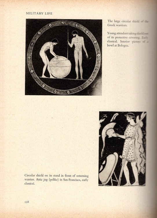 Image for Hellas and Rome: The Classical World in Pictures Hellas and Rome: The Classical World in Pictures