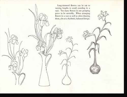 Image for Drawing Flowers (Pitman 12) Drawing Flowers (Pitman 12)