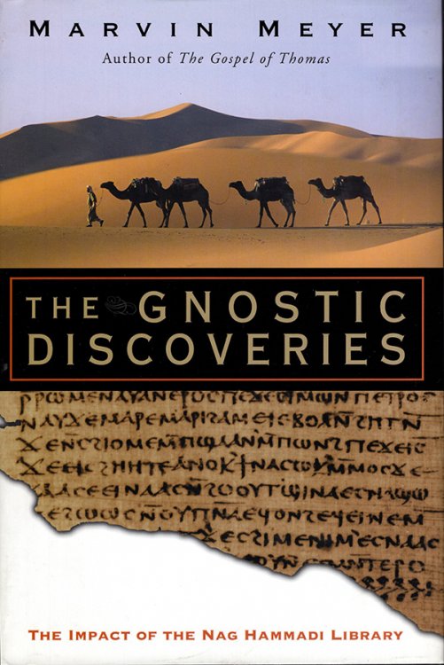 Image for The Gnostic Discoveries: The Impact of the Nag Hammadi Library The Gnostic Discoveries: The Impact of the Nag Hammadi Library