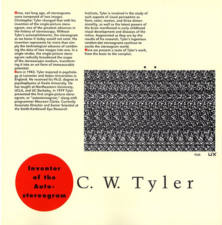 Image for Stereogram Stereogram