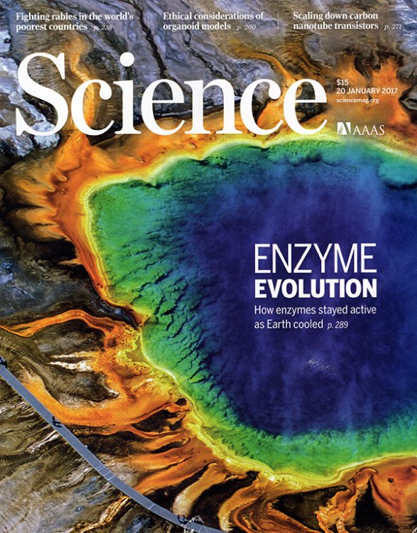 Image for Science Magazine (Volume 355, No. 6322, 20 January 2017) Science Magazine (Volume 355, No. 6322, 20 January 2017)