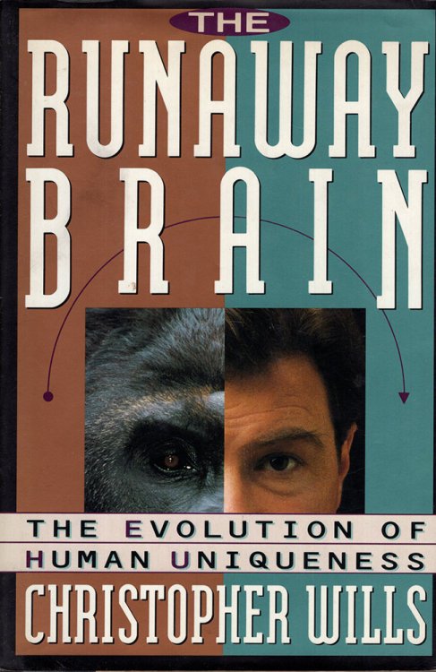 Image for The Runaway Brain: The Evolution of Human Uniqueness The Runaway Brain: The Evolution of Human Uniqueness