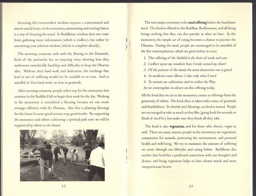 Image for Welcome to the Monastery: A Guide for New Visitors Welcome to the Monastery: A Guide for New Visitors