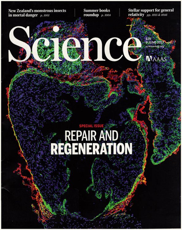 Image for Science Magazine (Volume 356, No. 6342, 9 June 2017) Science Magazine (Volume 356, No. 6342, 9 June 2017)