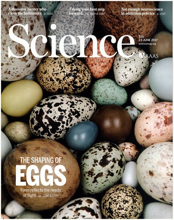 Image for Science Magazine (Volume 356, No. 6344, 23 June 2017) Science Magazine (Volume 356, No. 6344, 23 June 2017)