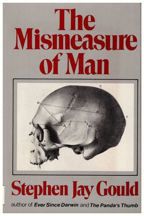 Image for The Mismeasure of Man The Mismeasure of Man