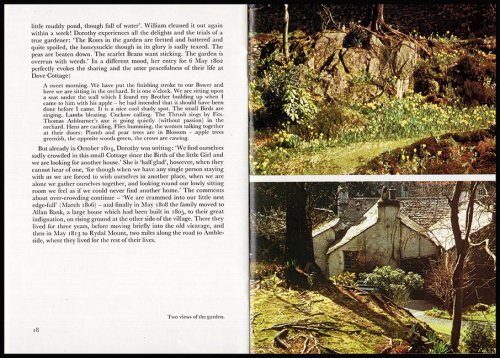 Image for Dove Cottage: A Short Guide to the home of William Wordsworth, 1799-1808 Dove Cottage: A Short Guide to the home of William Wordsworth, 1799-1808