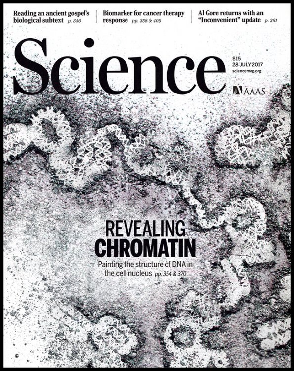 Image for Science Magazine (Volume 357, 6349, 28 July 2017) Science Magazine (Volume 357, 6349, 28 July 2017)