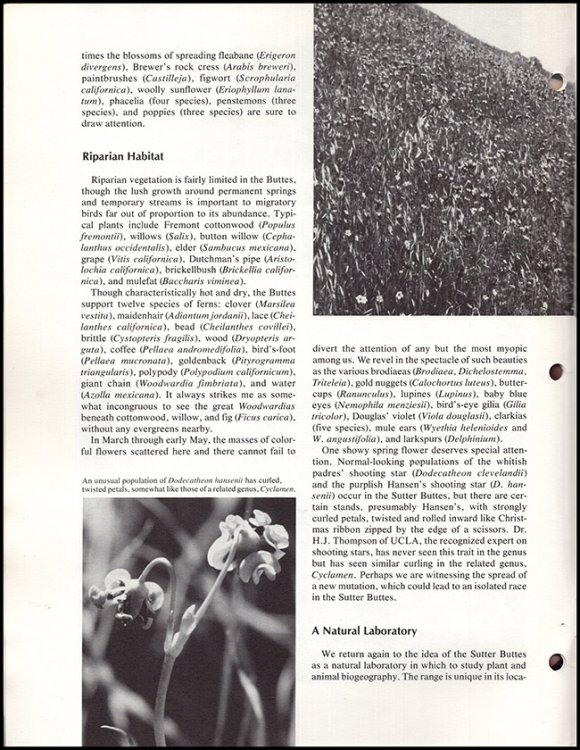 Fremontia (Vol. 11, No. 2, July 1983)